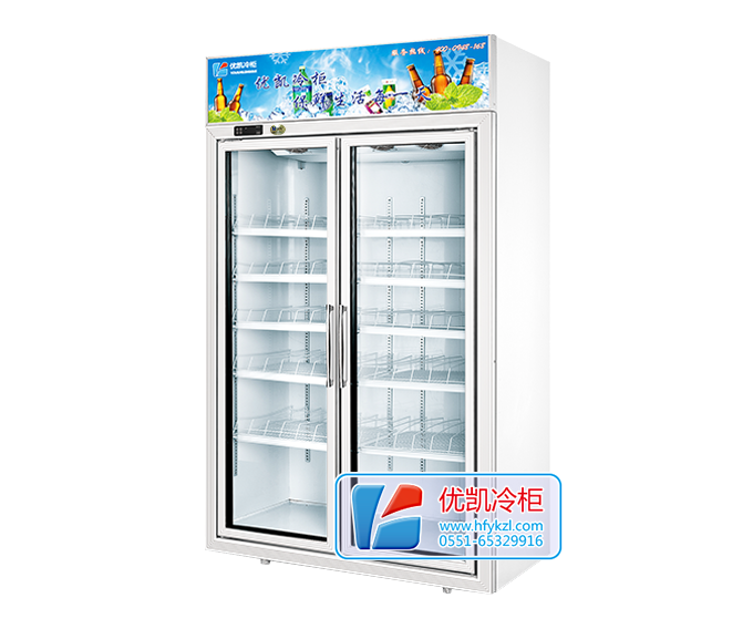 雙門(mén)飲料柜